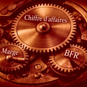 Roue crantée avec Chiffre d'affaires, marge et BFR